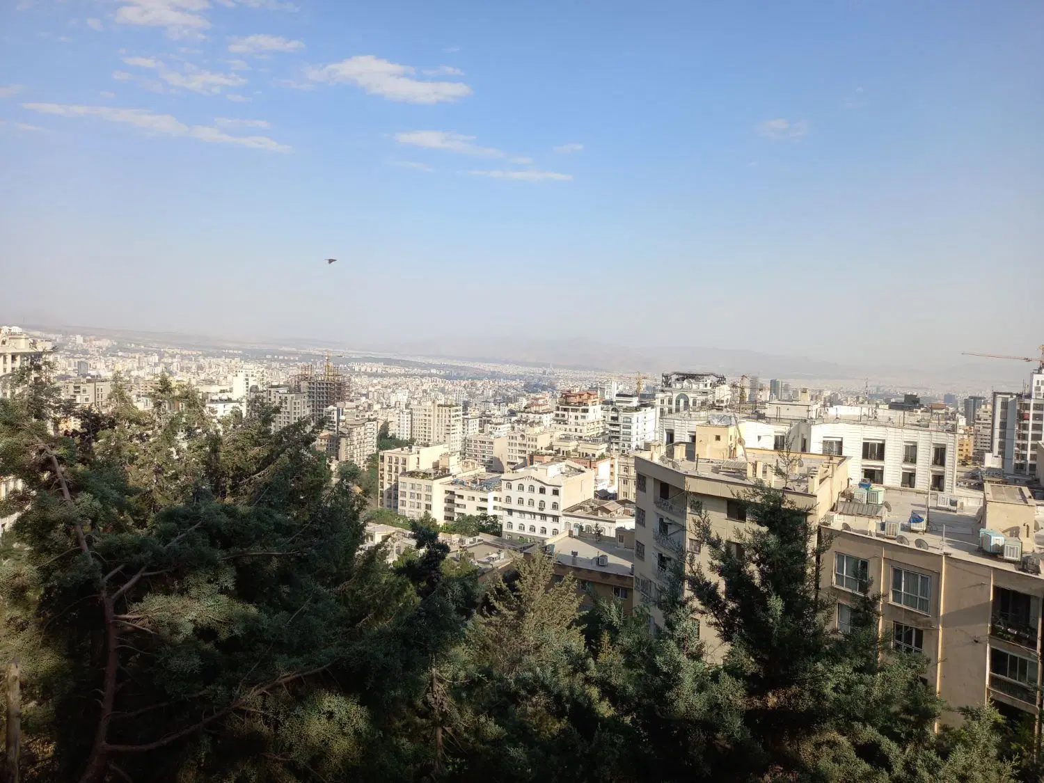 اقدسیه۳۱۰متر کلنگی موقعیت تجاری اداری