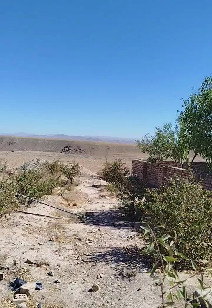 مرغداری تخمی