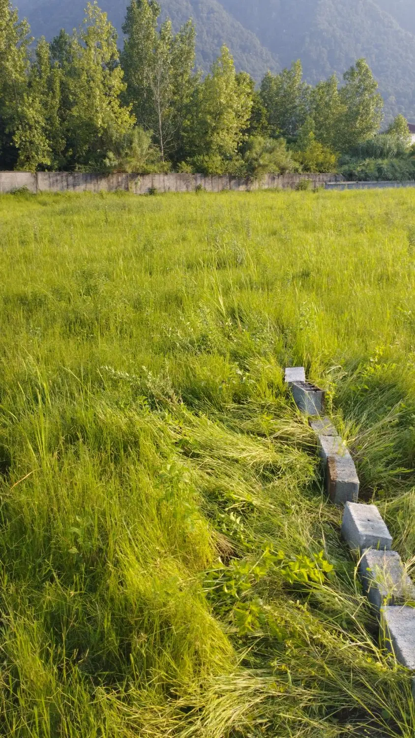 ۳۳۰متر زمین چلندر مالکیم