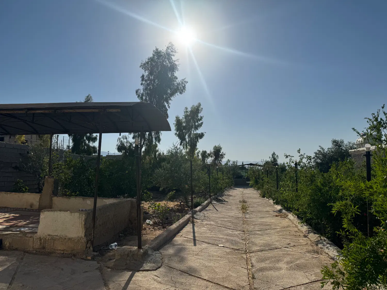 ویلا باغ ثمری