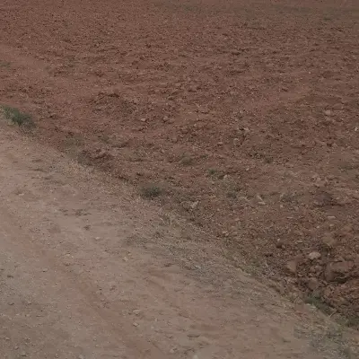 زمین ۱۰۰متری الارد