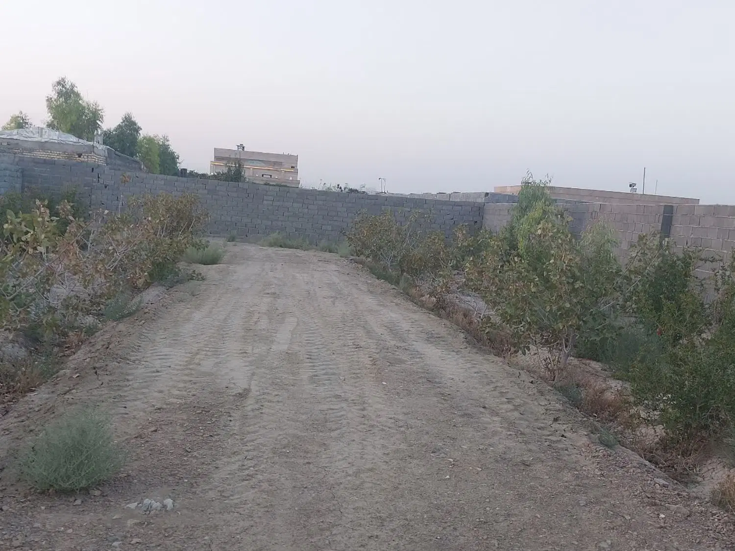 باغ چهار دیواری