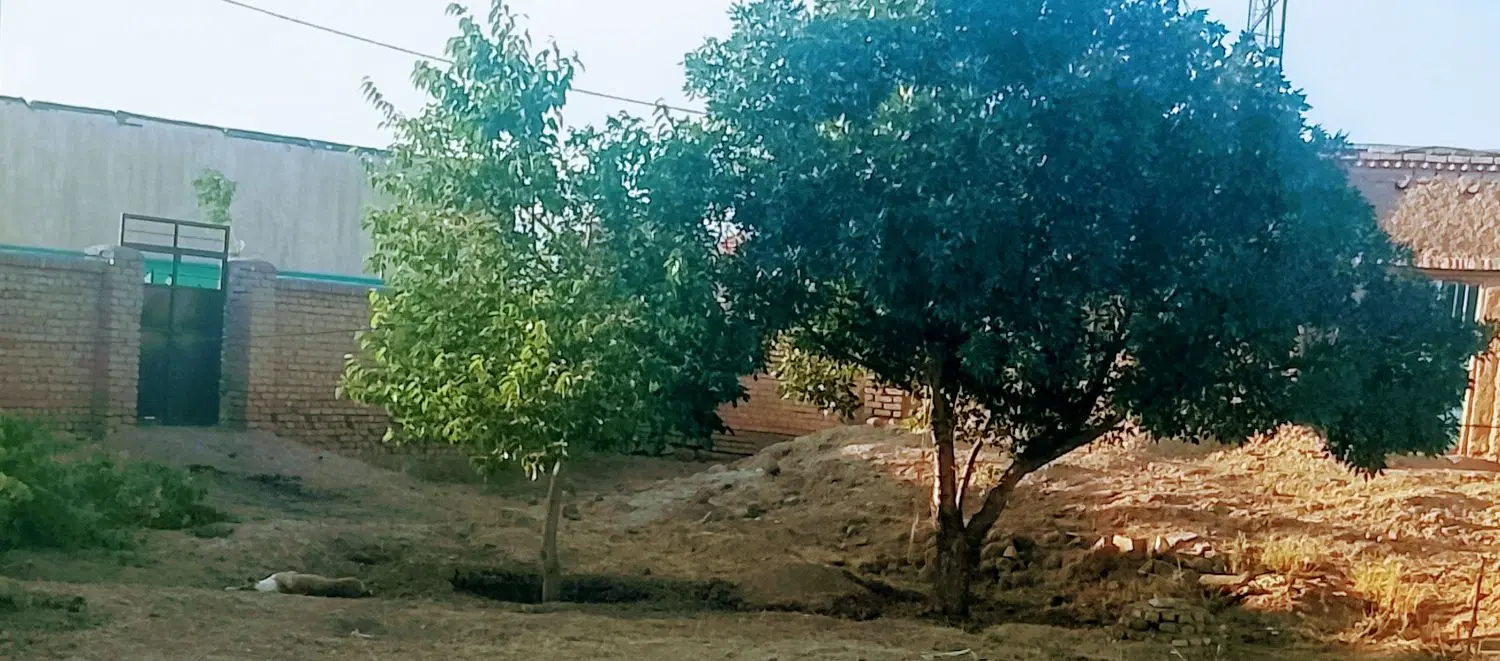 خانه روستایی بامتراژبالاباسندشش دانگ
