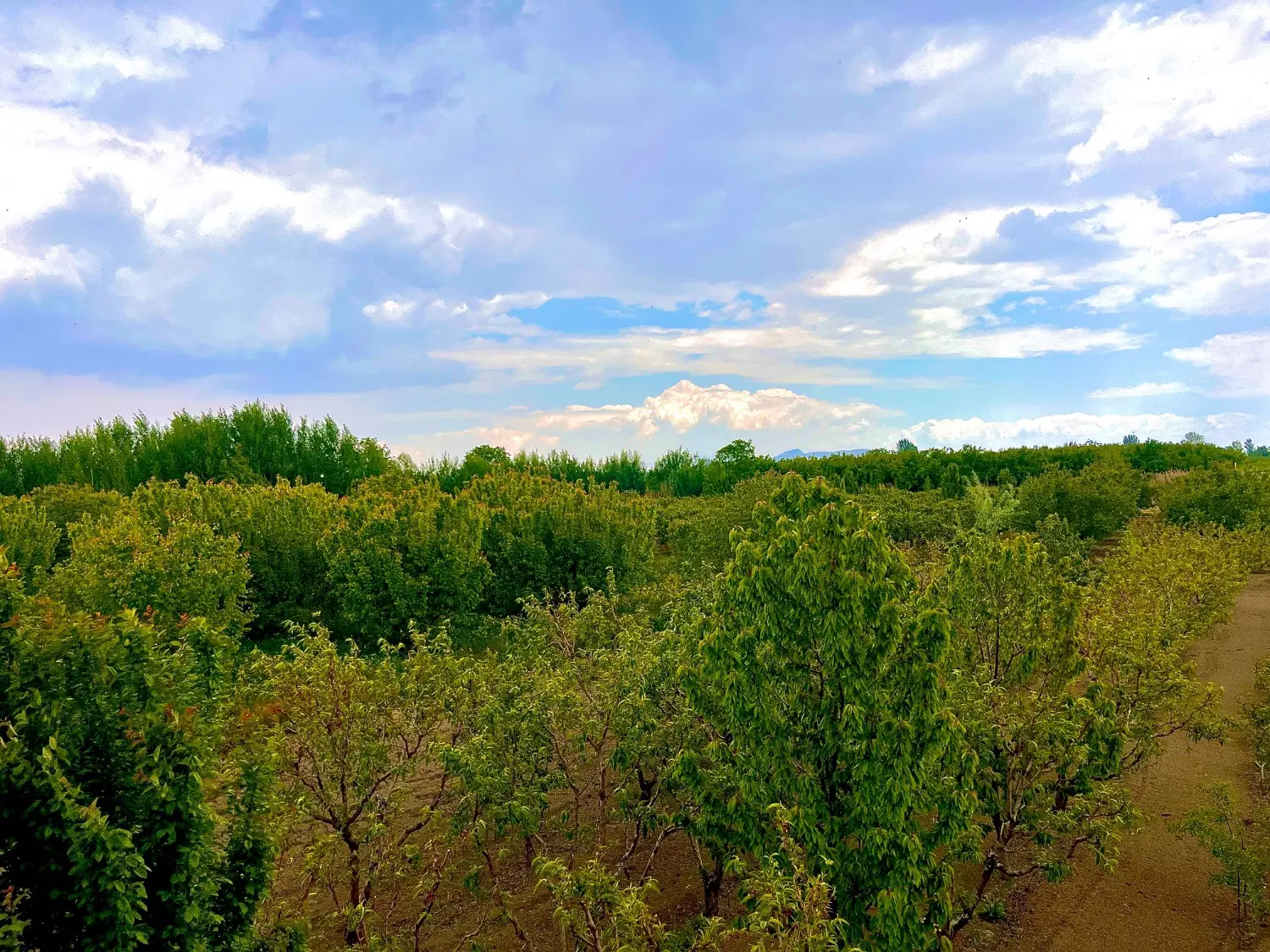 زمین محدوده