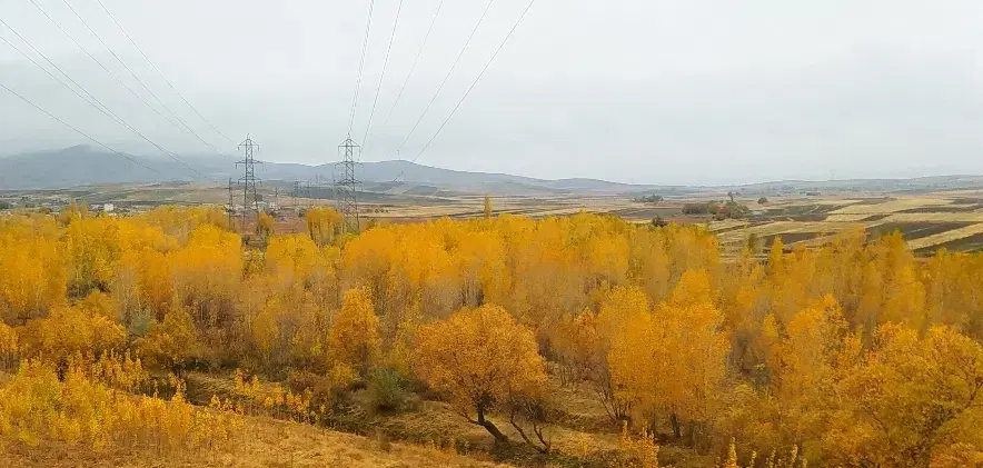 زمین کشاورزی به همراه آب برای اجاره موخام