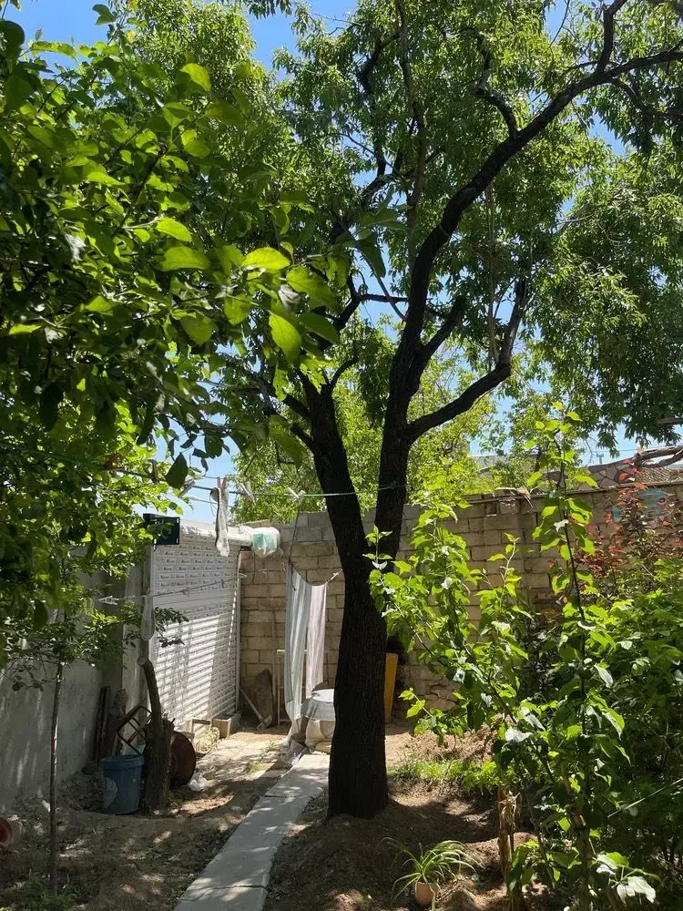 خانه ویلایی