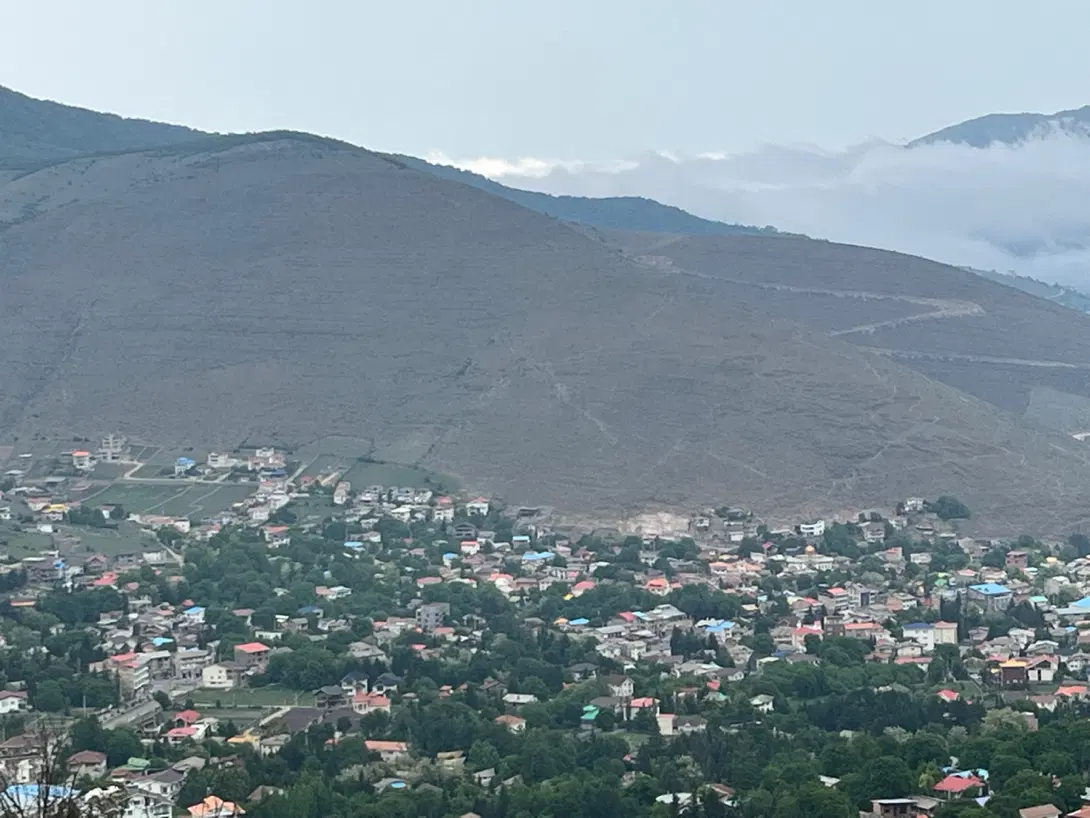 پلاک ۱ جنگل  سند تک برگ زیباترین لوکیشن