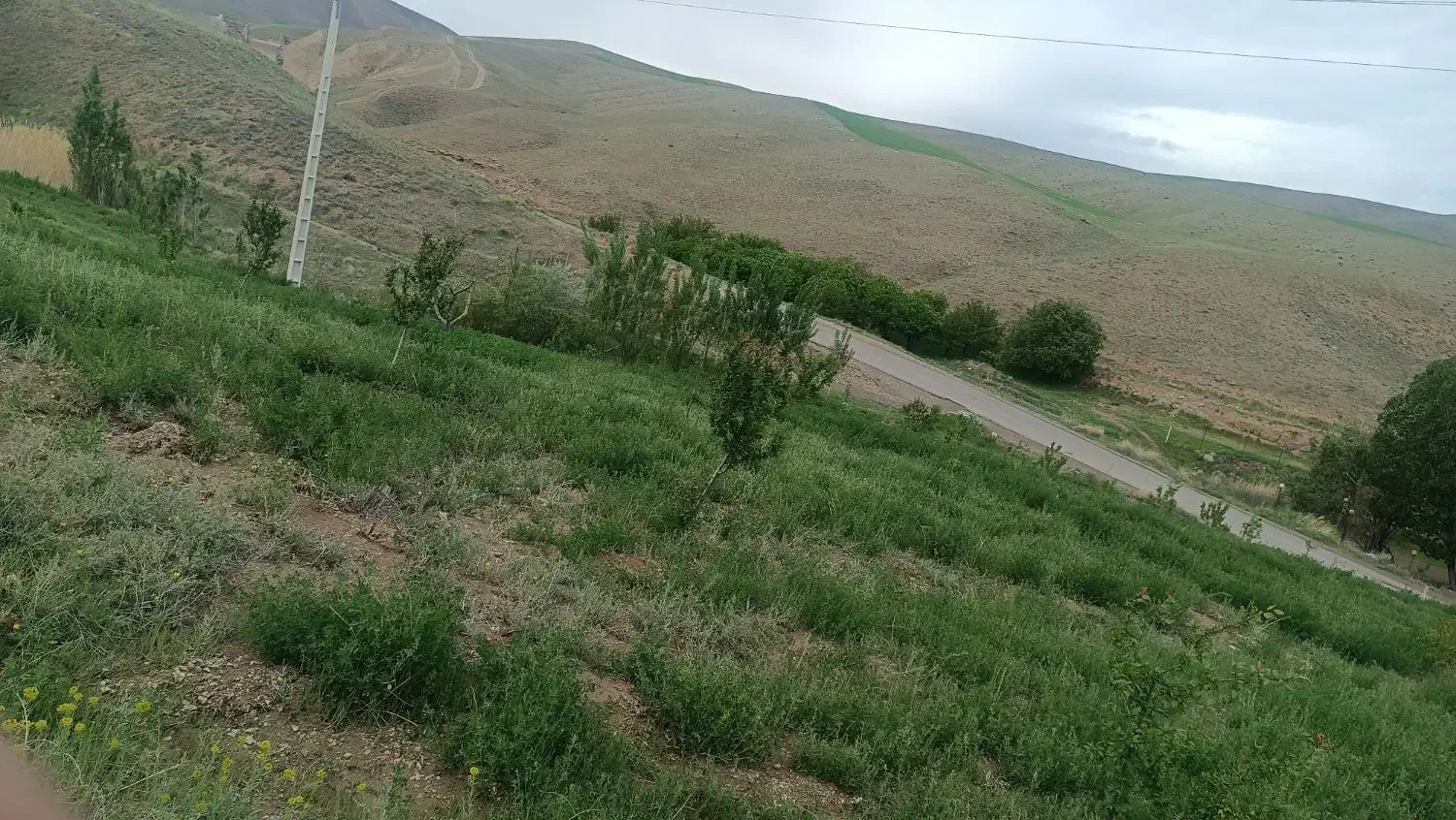 باغ حسن ابدال بهر جاده اصلی