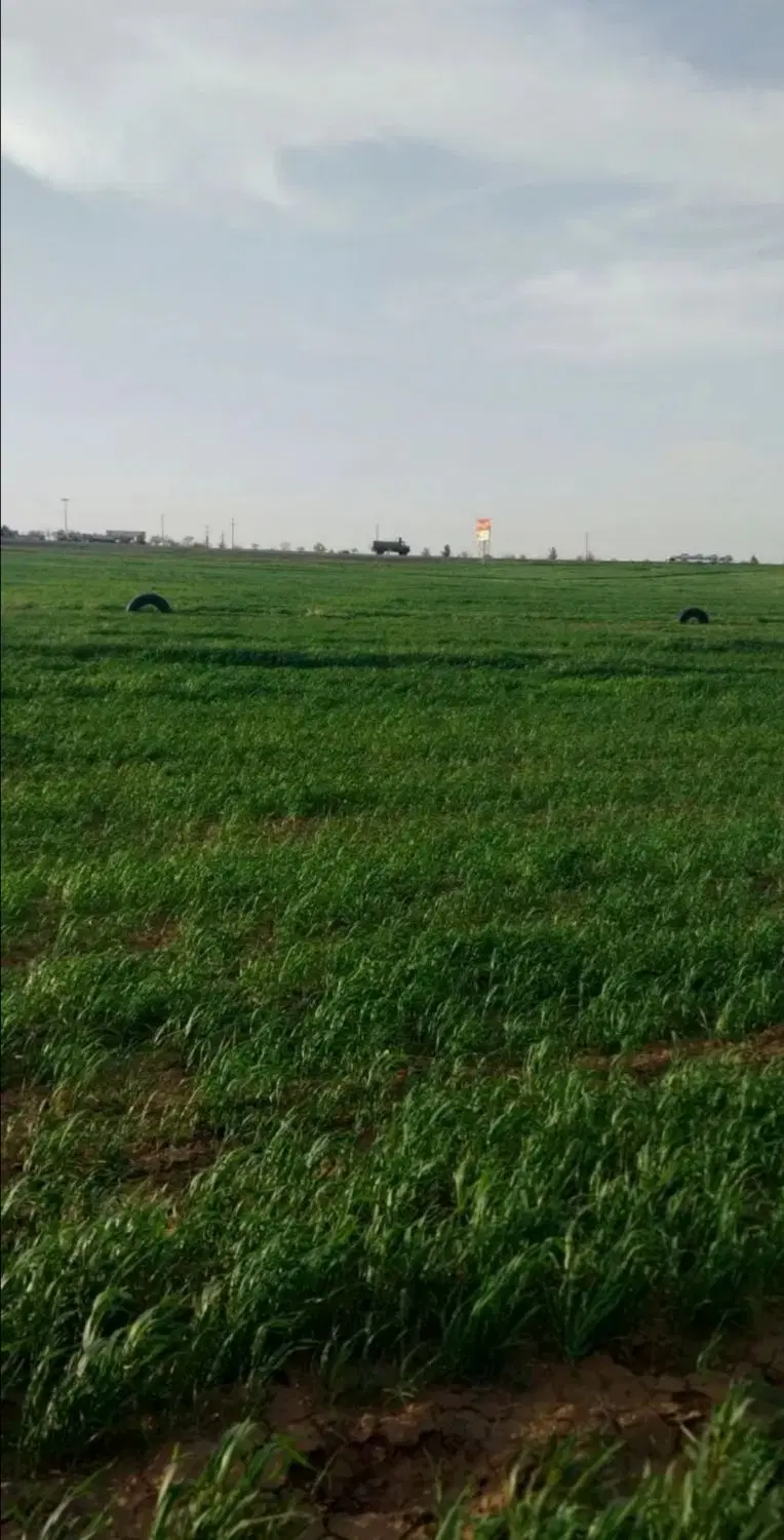 فروش زمین کشاورزی در جاده کرمانشاه