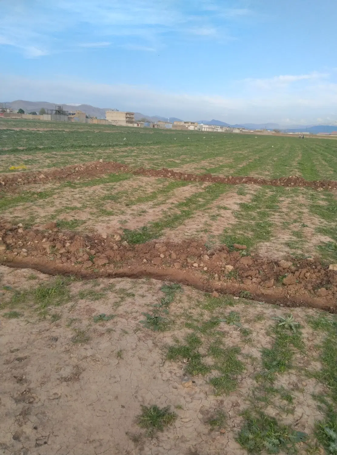 زمین در تلوری