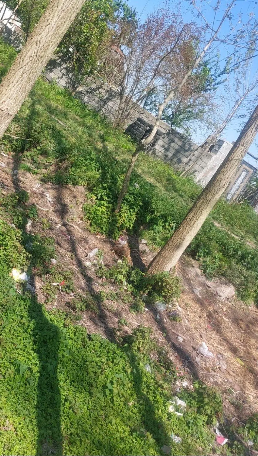 زمین مسکونی در روستا(استعلام ساخت ساز)