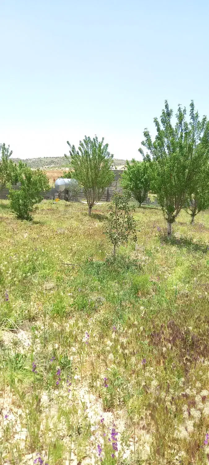 زمین هزار متری هفت برم