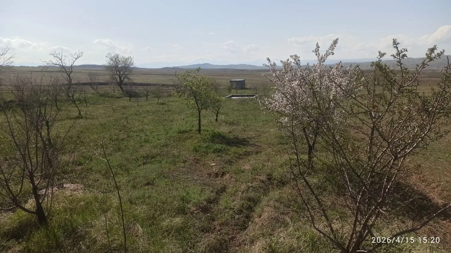 باغ زمین زراعی در ولدیان