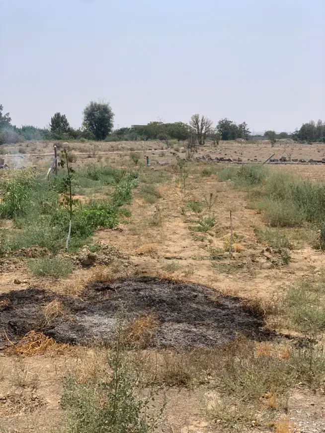 زمین باغچه ۵۰۰متری