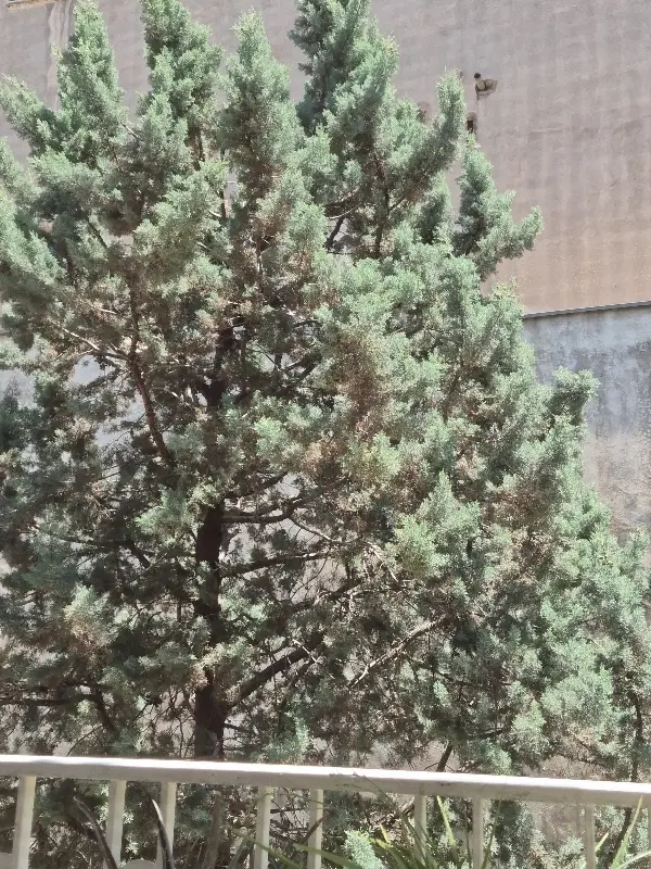 خانه ویلای
