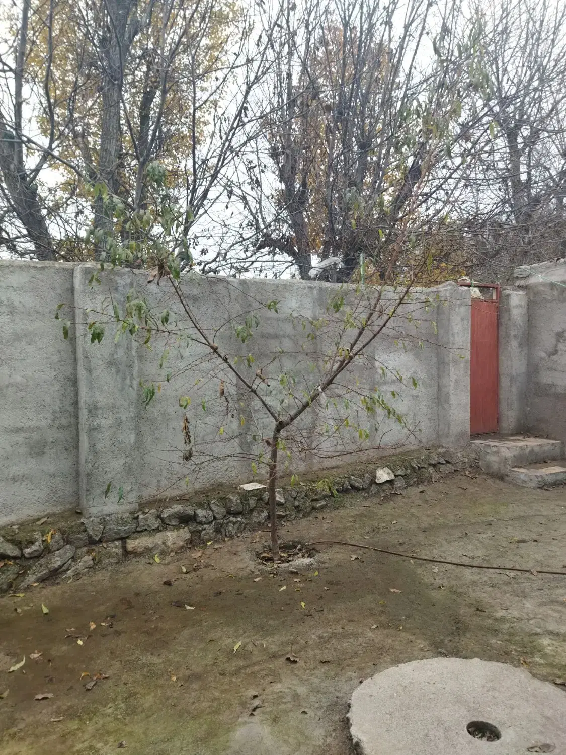 خانه ویلایی در دیجوجین