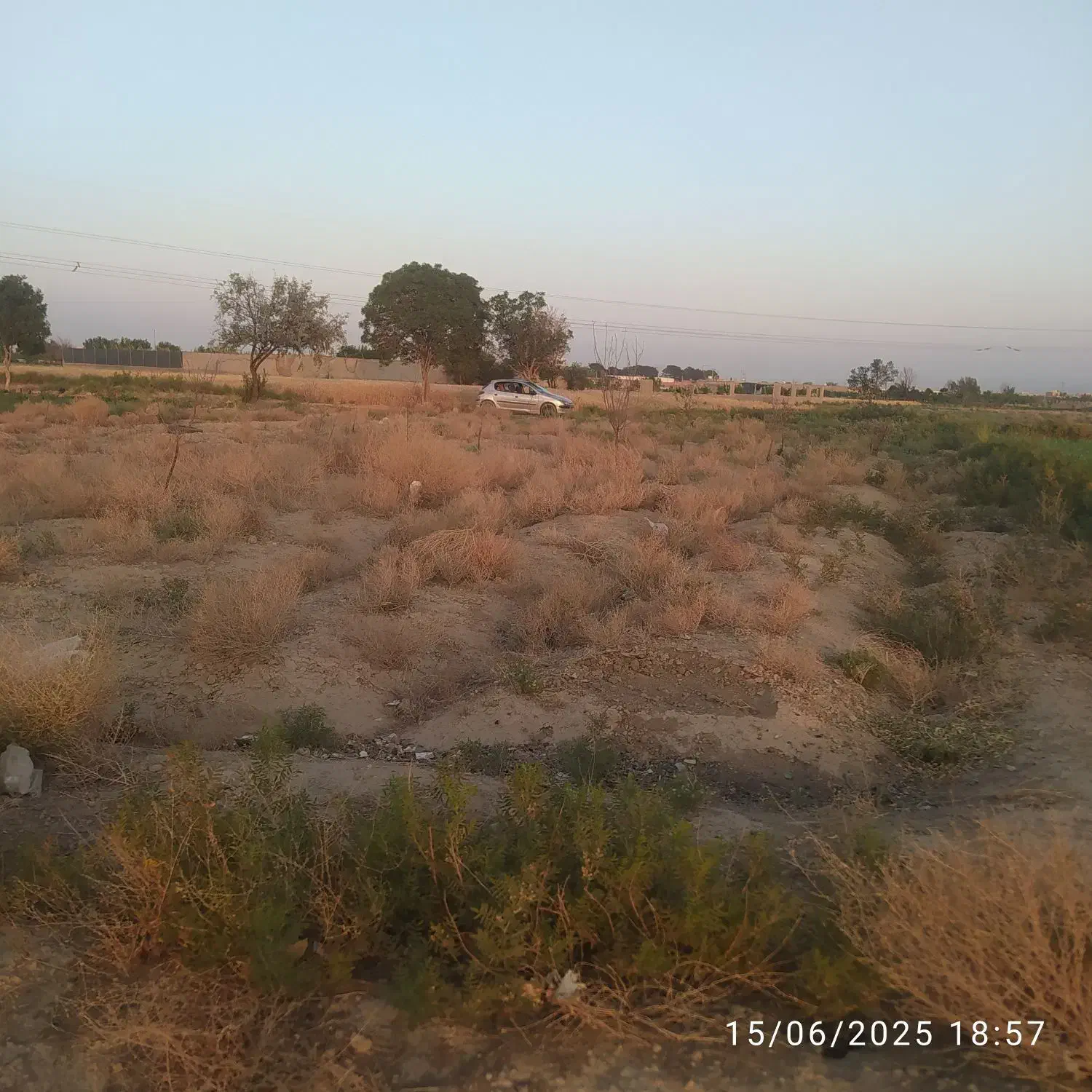 زمین کشاورزی