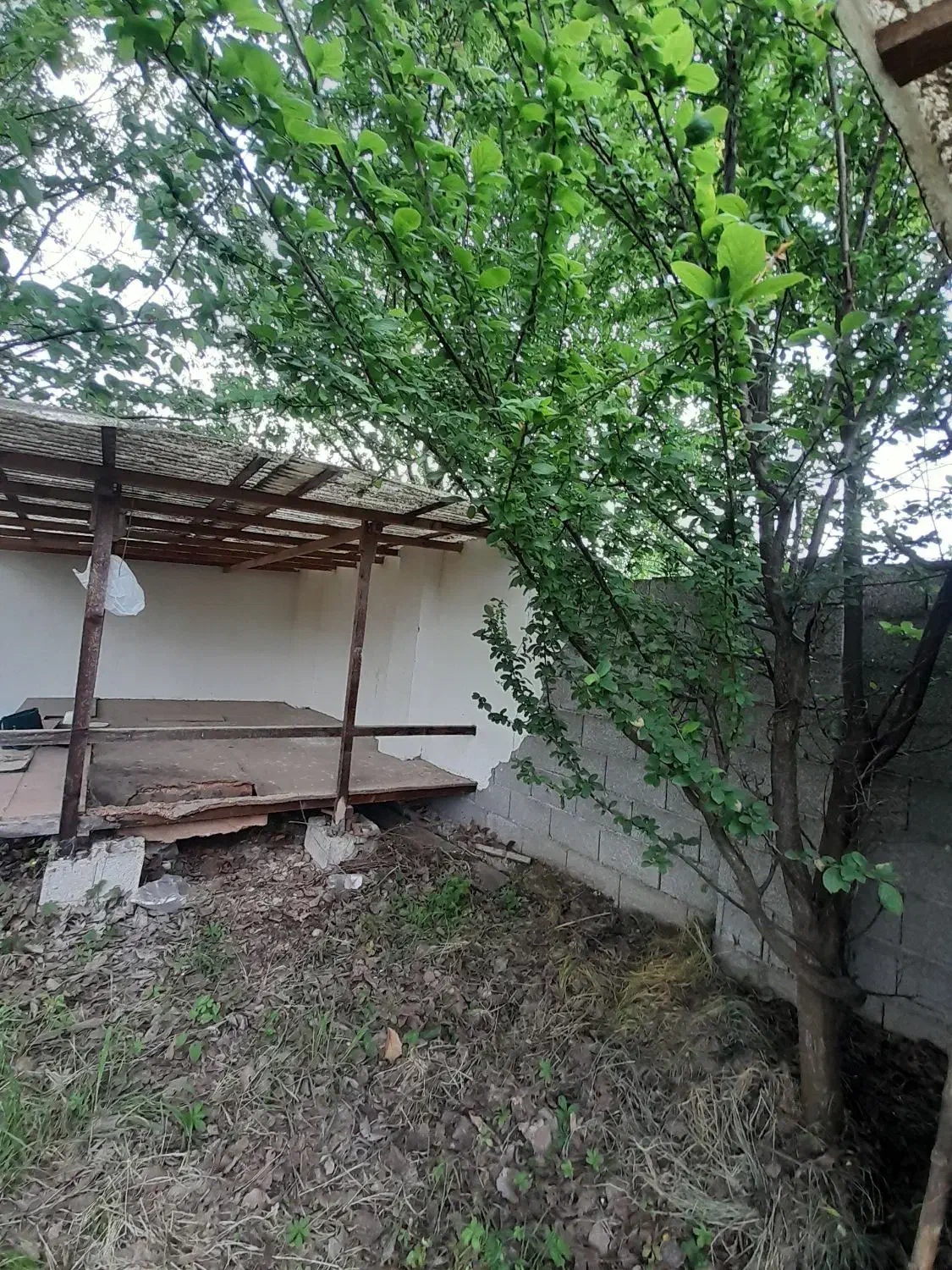 زمین مسکونی
