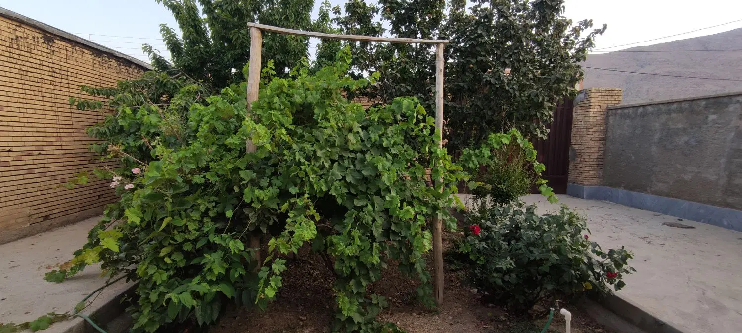 فروش خانه ویلایی