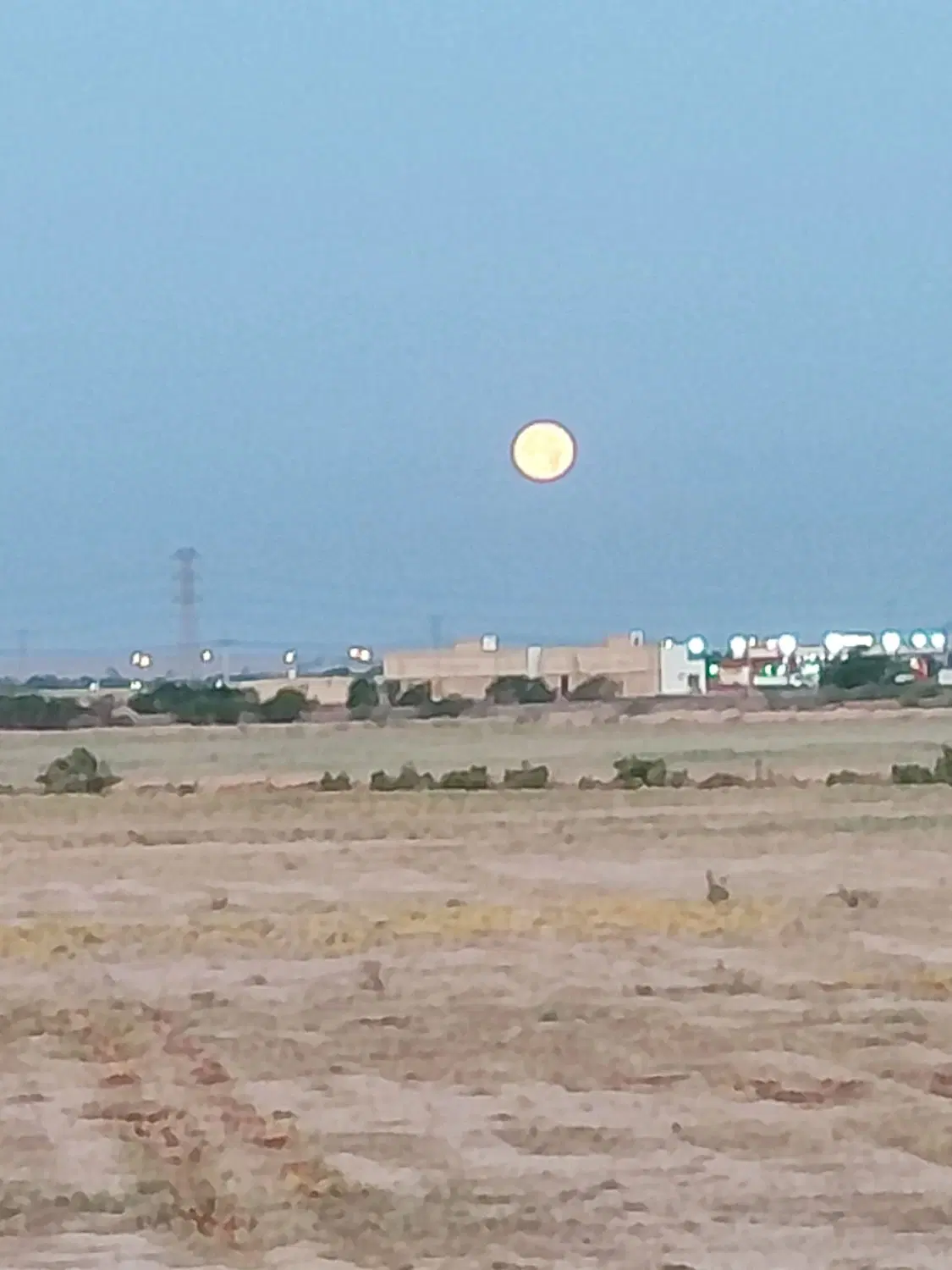 زمین