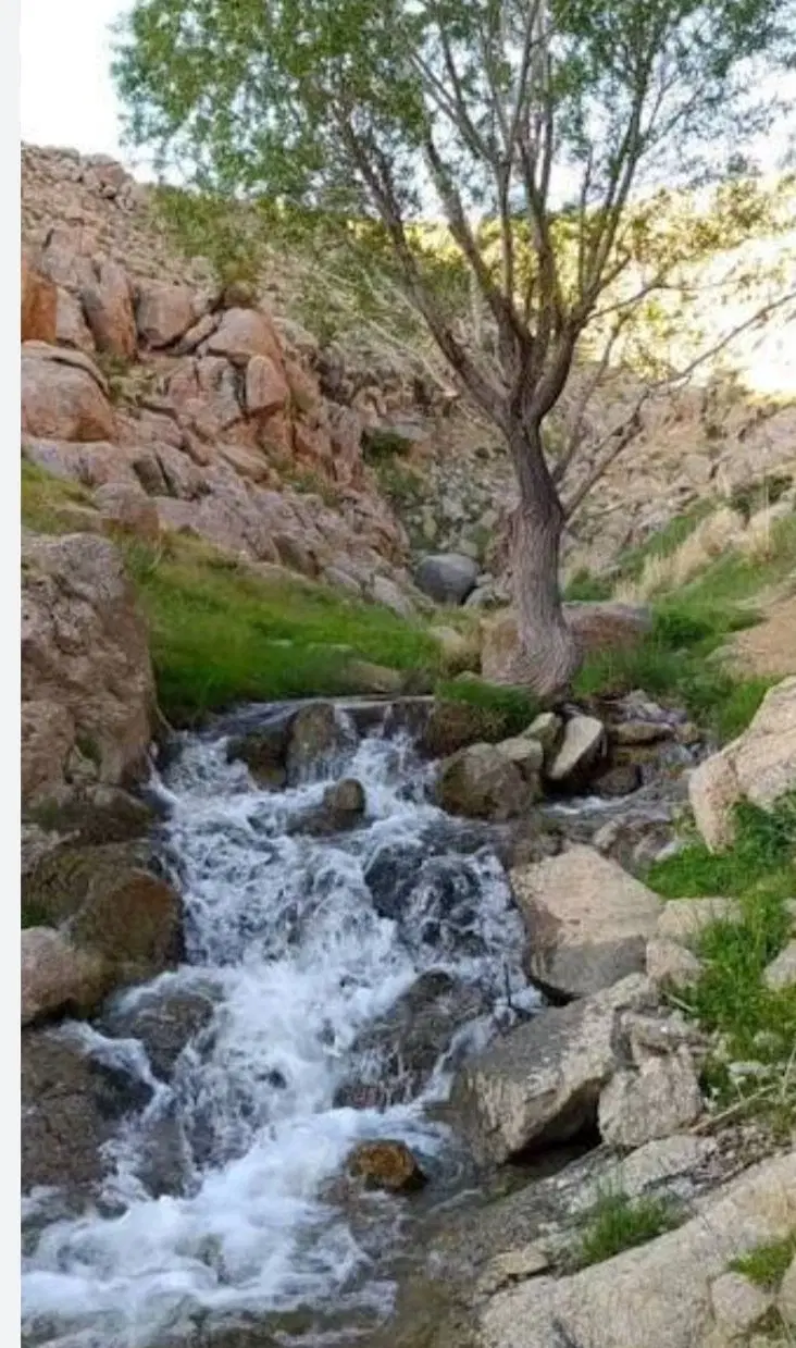 فروش قطعه زمین مسکونی موقعیت بی‌نظیر  سرمایه گذاری