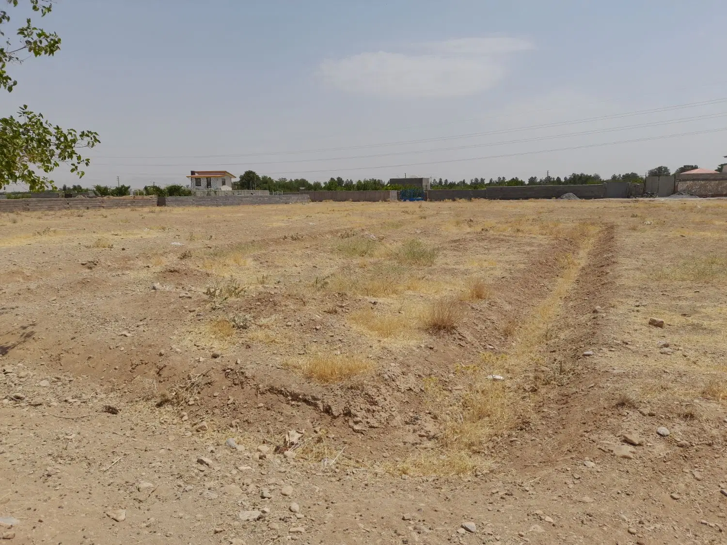 زمین مسکونی خیابان کشاورز 200متری جنوبی