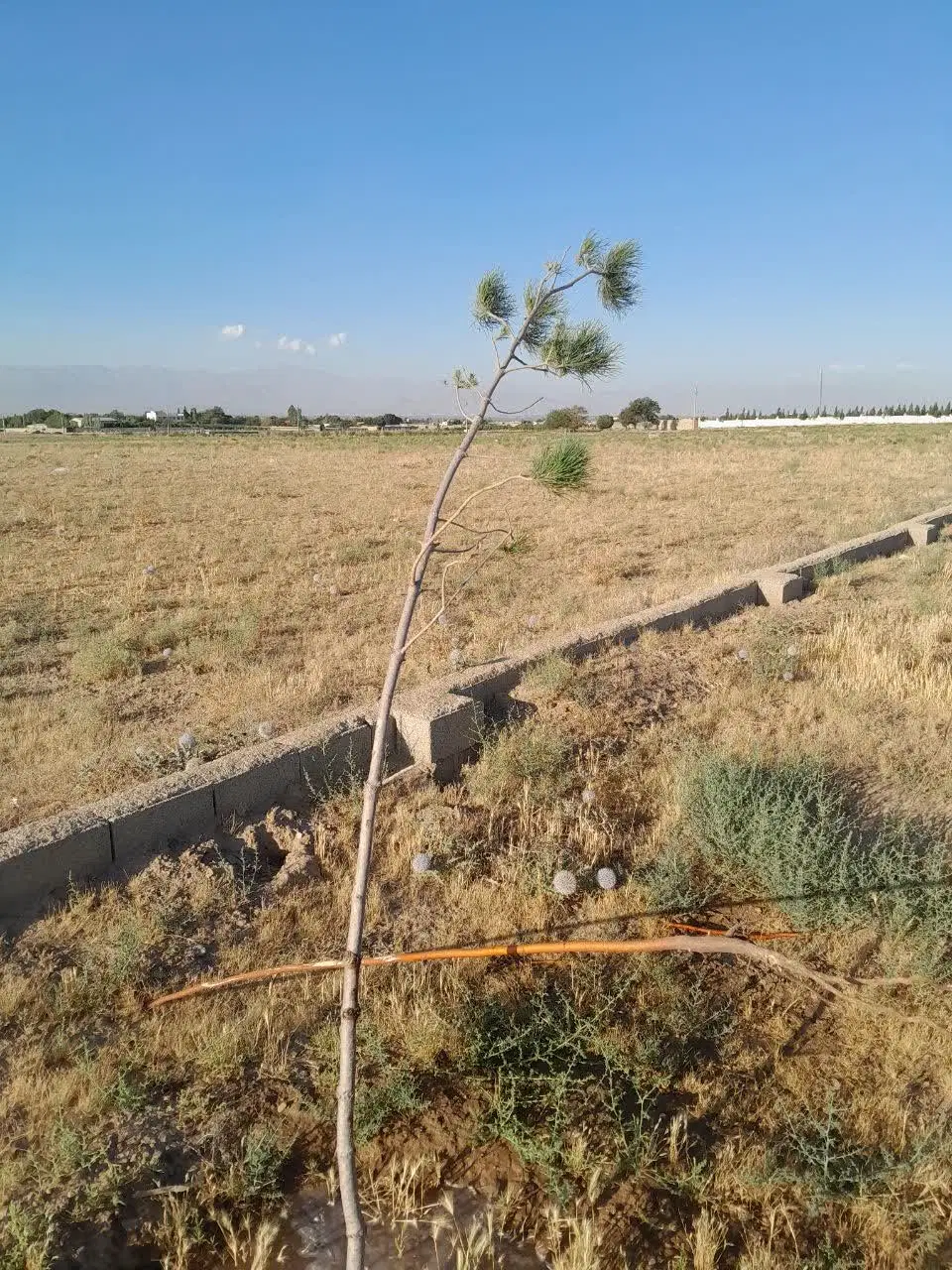 زمین