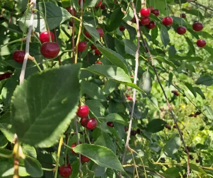 بهترین زمان برای داشتن یه جای دنج وآروم  آخر هفته