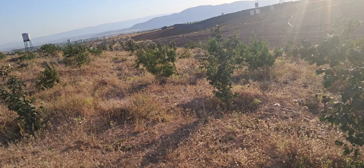 زمین مسکونی کلستان طرح هادی