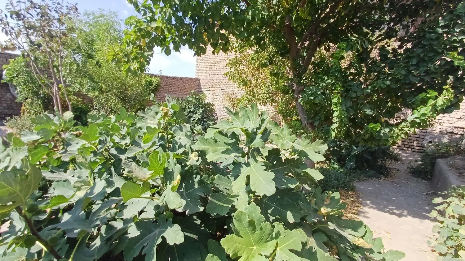 خانه ویلایی شاهنامه ۶۱