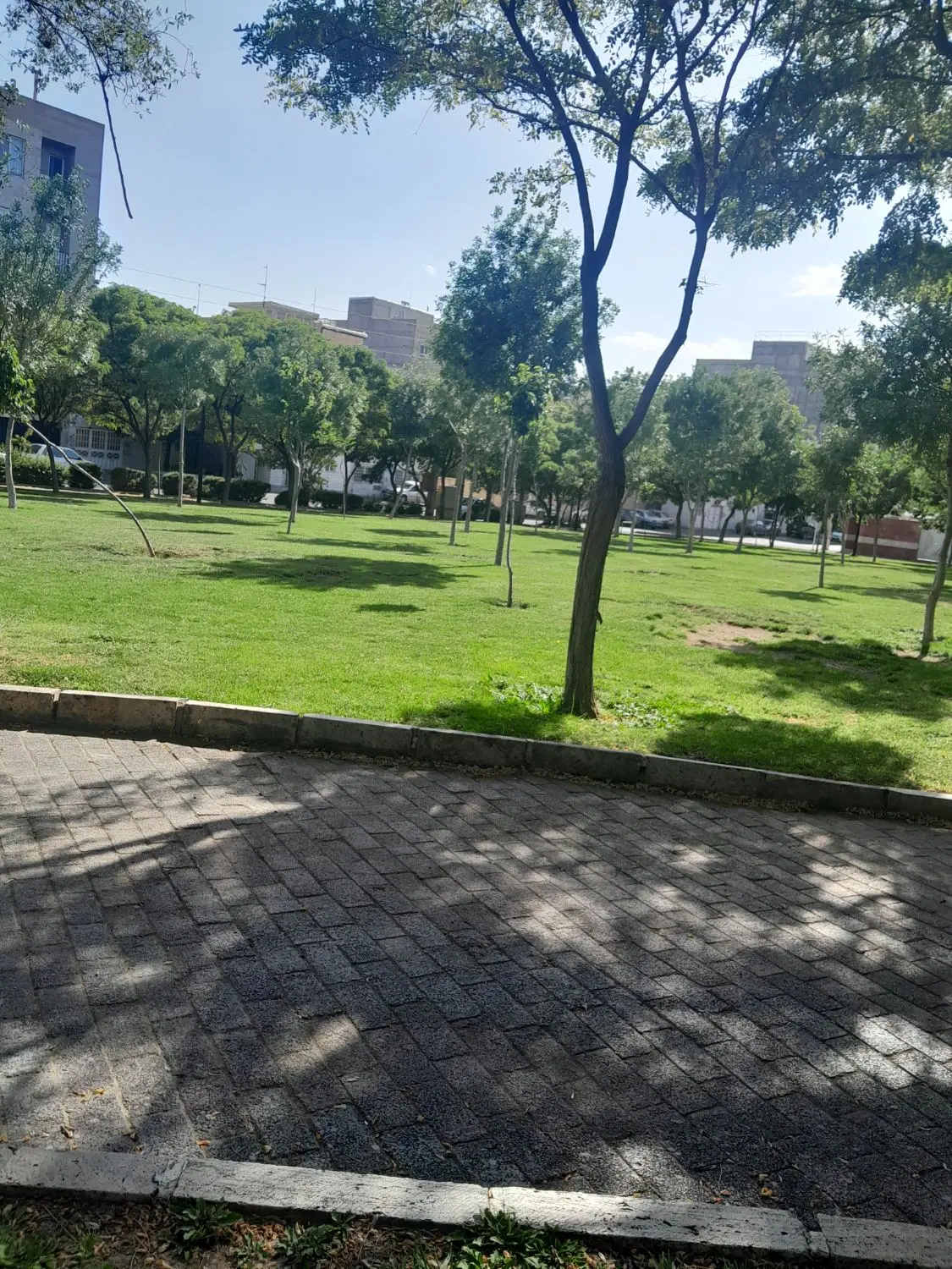 زمین مسکونی