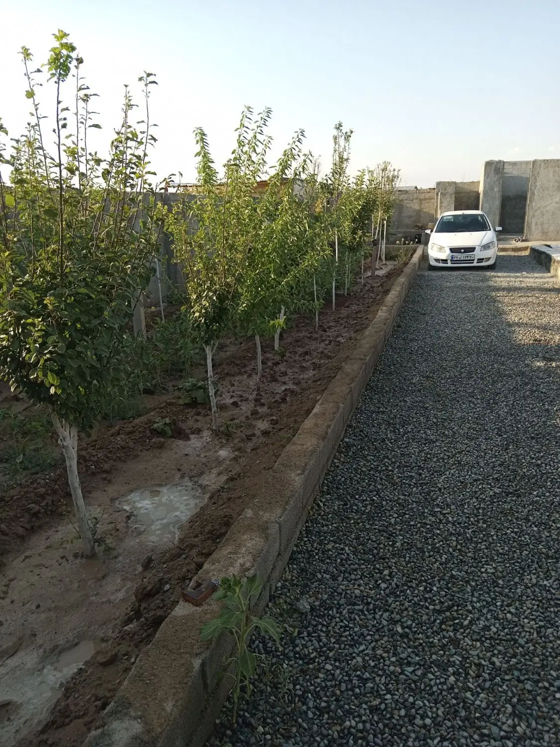 فروش باغ به متراژ ۳۵۰ متر