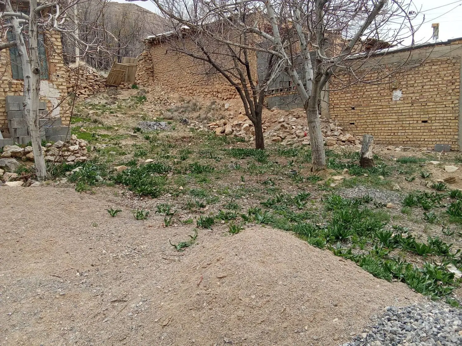 زمین مسکونی تجاری