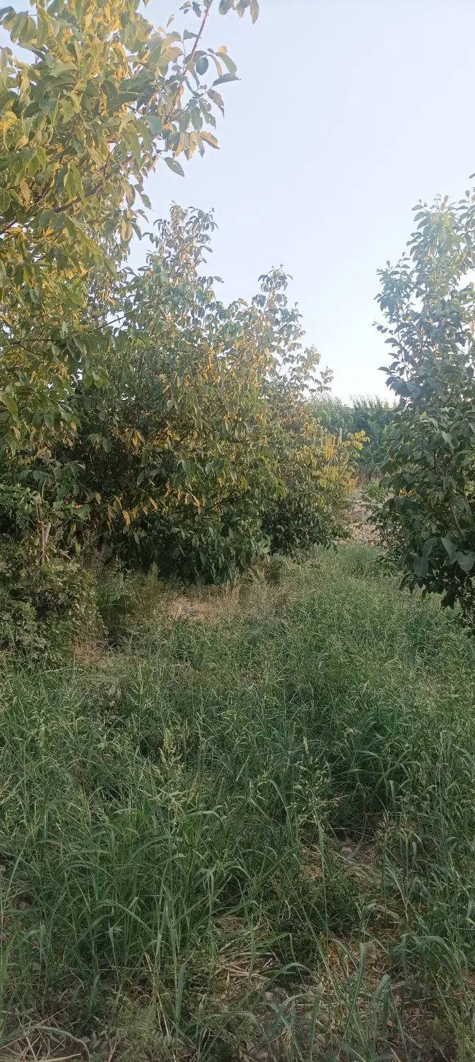 فروش خانه باغ هفت هزار متری در ایوان