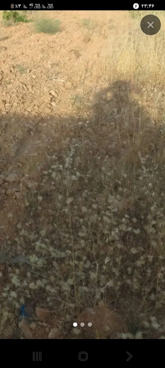 زمین کشاورزی و باغی
