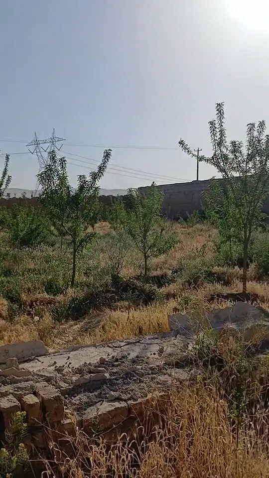 زمین کشاورزی