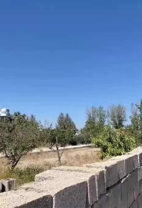 ۱۹۵۰ متر سندتگ برک