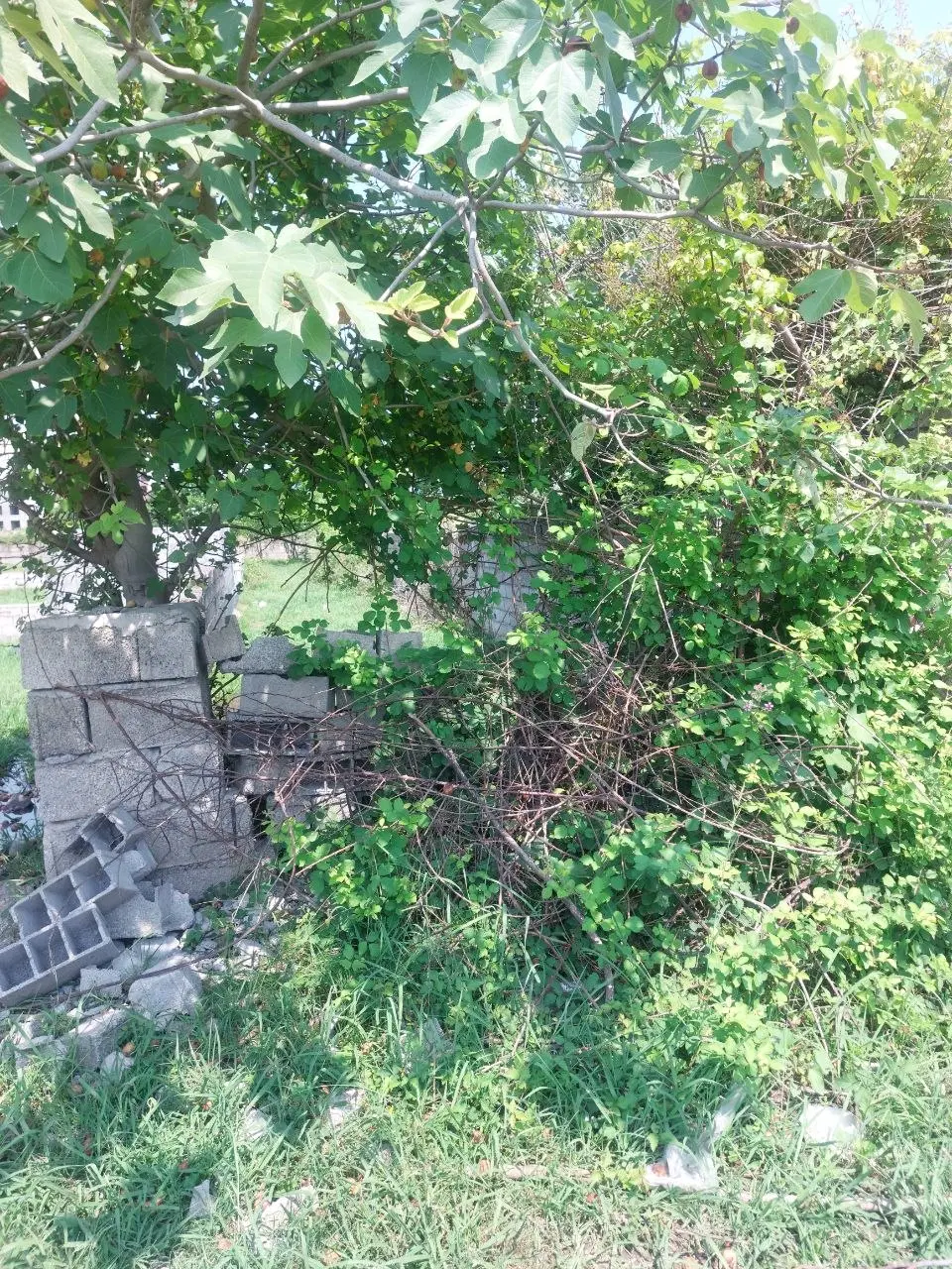 ۱۳۰۰متر زمین رادیو دریا