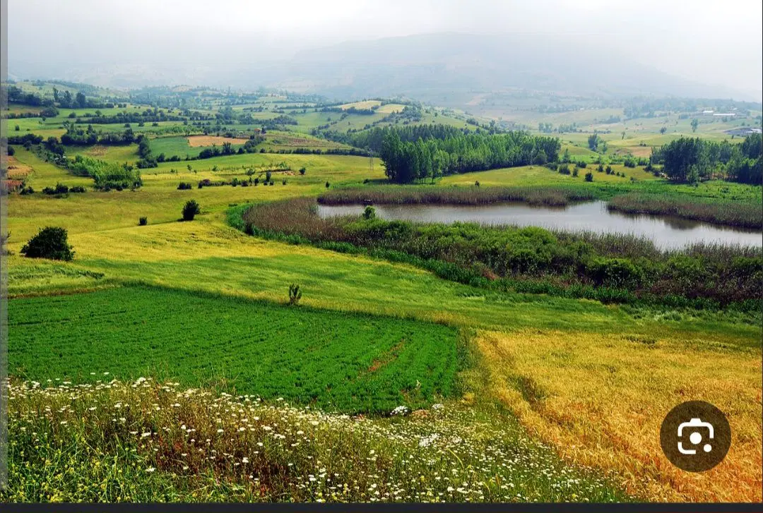 فروش زمین