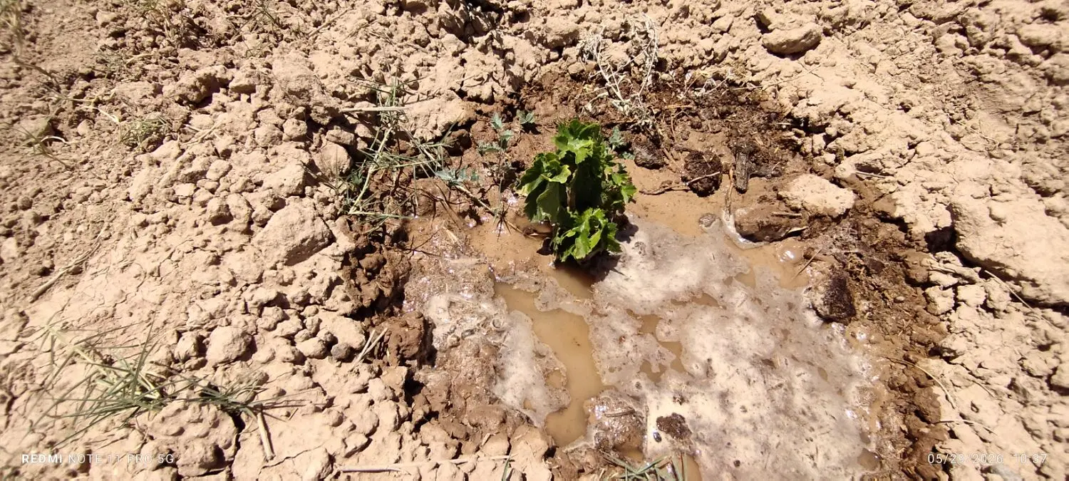 زمین فروشی