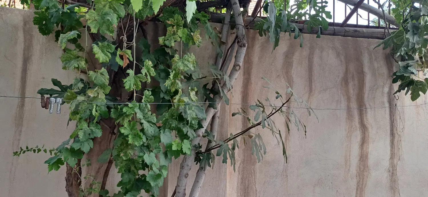 منزل ویلایی شفق