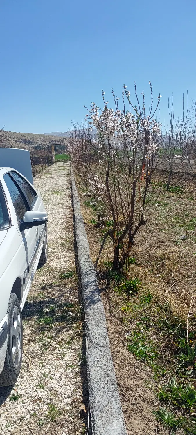 فروش باغ شهری نقش رستم