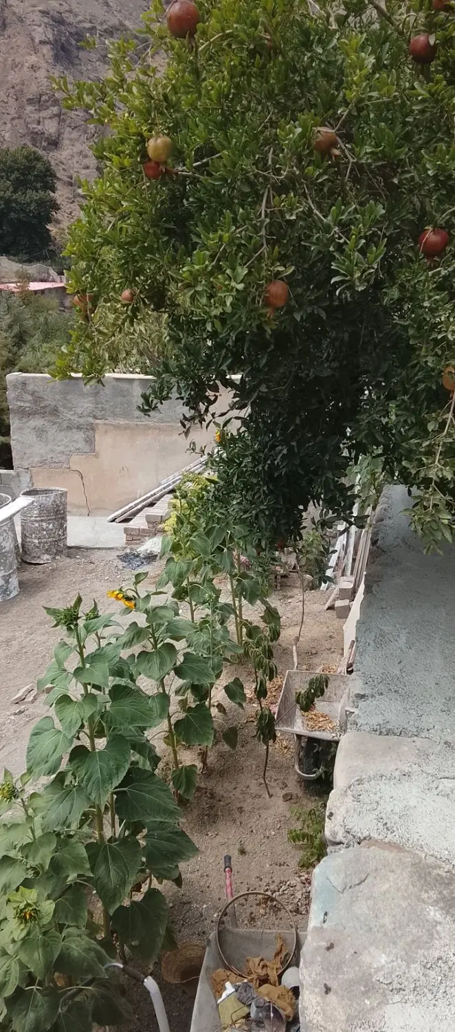 فروش ویلای بازسازی شده