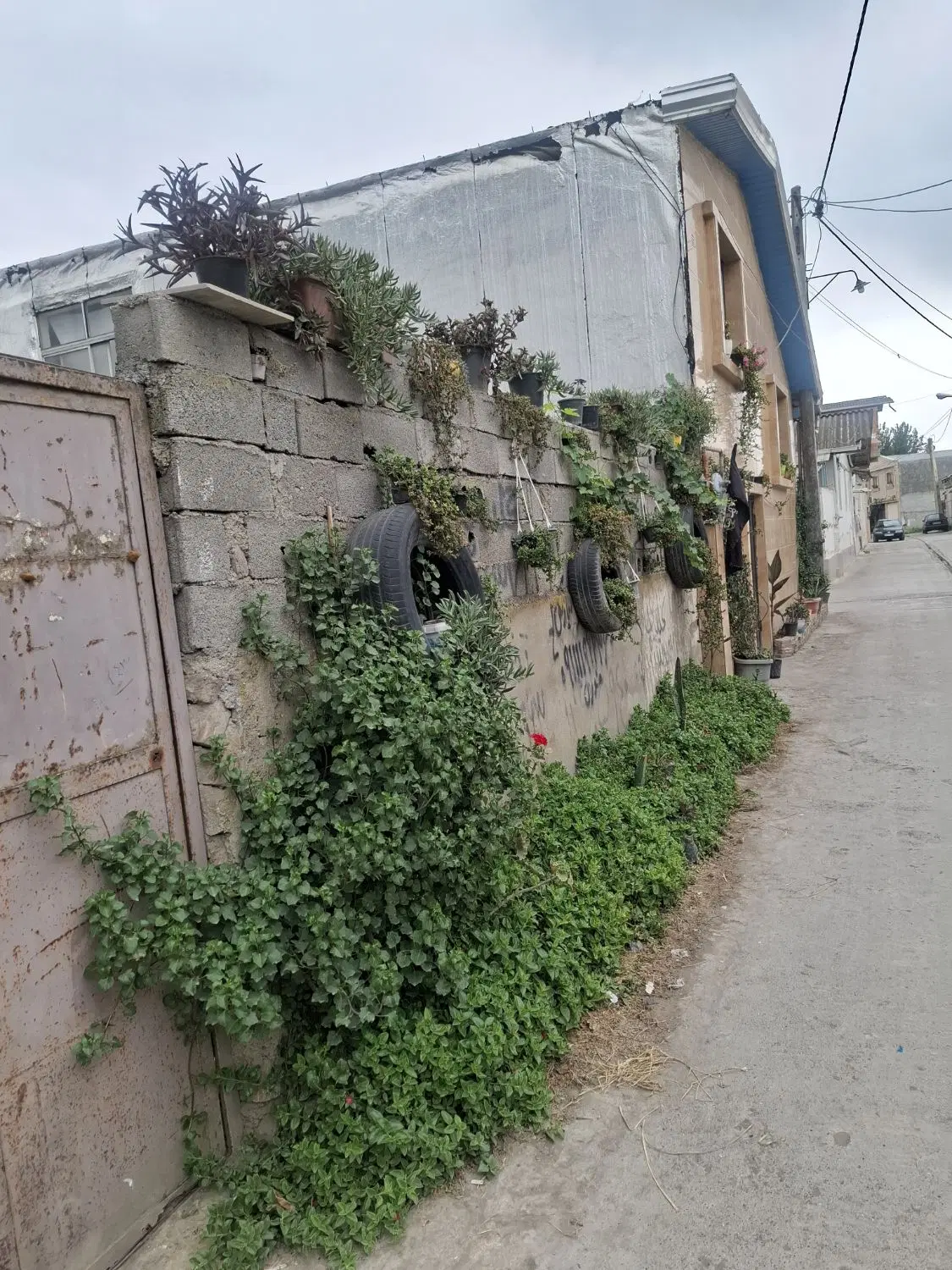 فروش فوری منزل مسکونی به همراه باغ