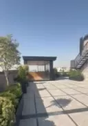 ( Luxury home )