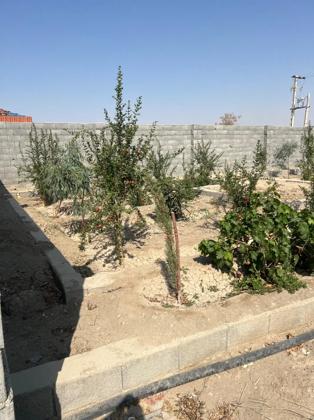 باغ دیوار کشی پیله وران