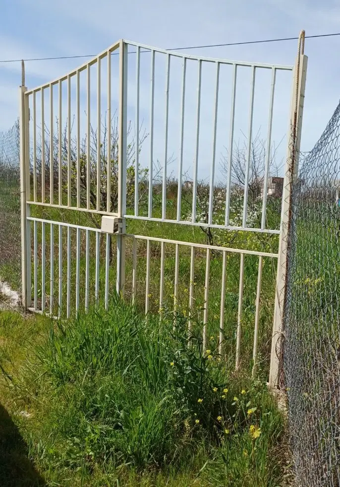 زمین باغی ۷۷۵ متری