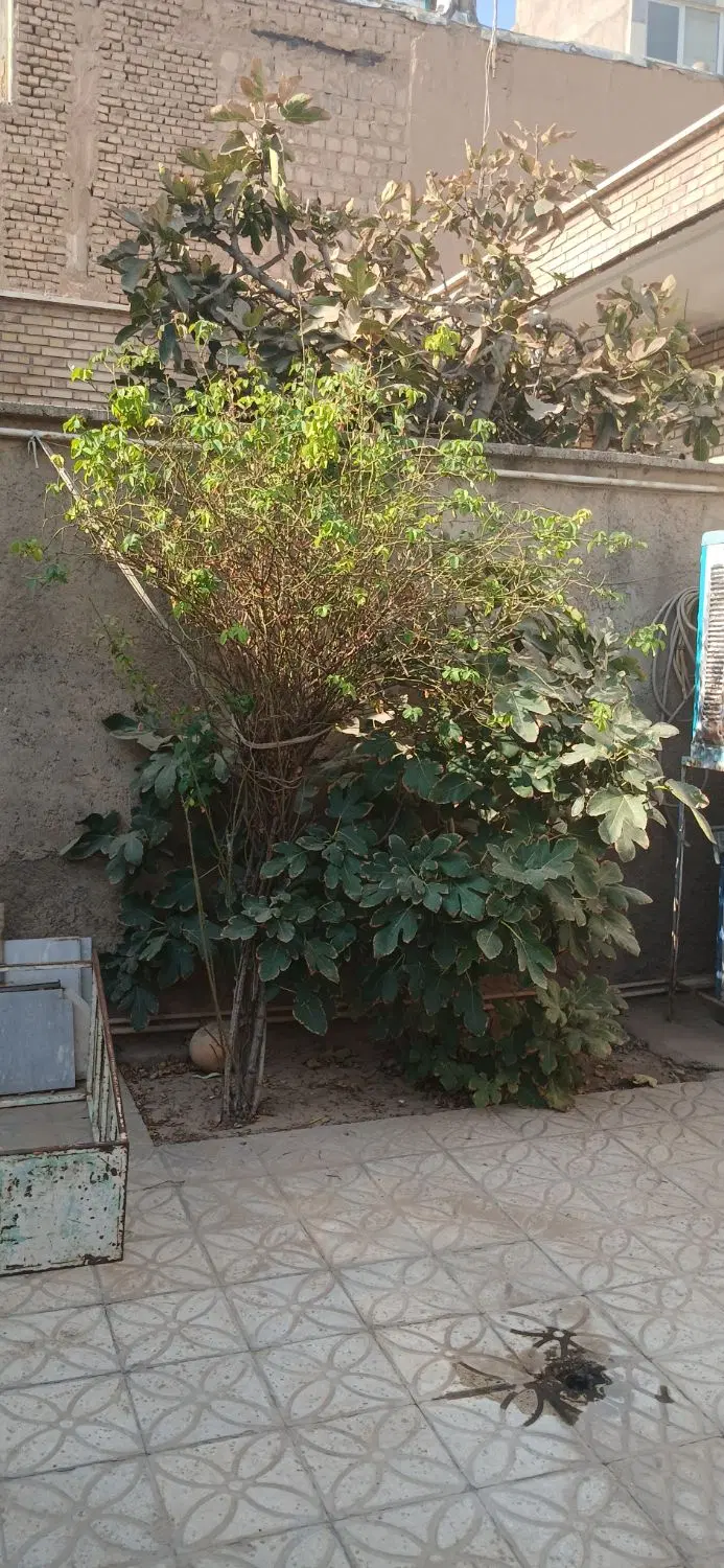 منزل مسکونی ویلایی قدیمی