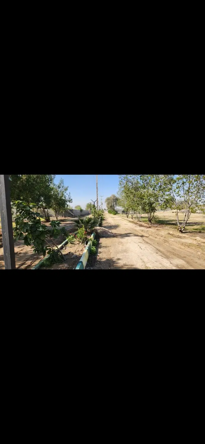 زمین شهرکی سرخون