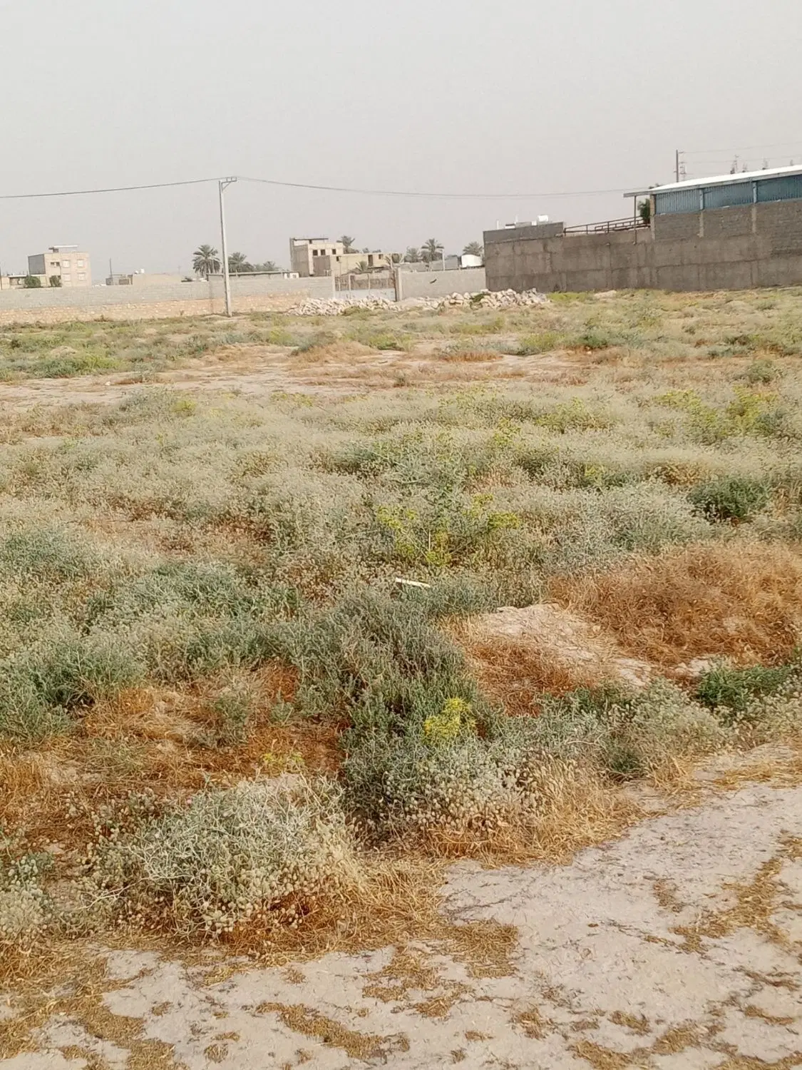 زمین